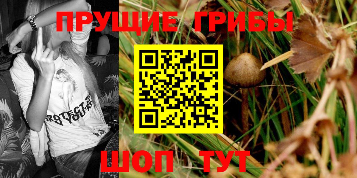 Галлюциногенные грибы GOLDEN TEACHER Чехов